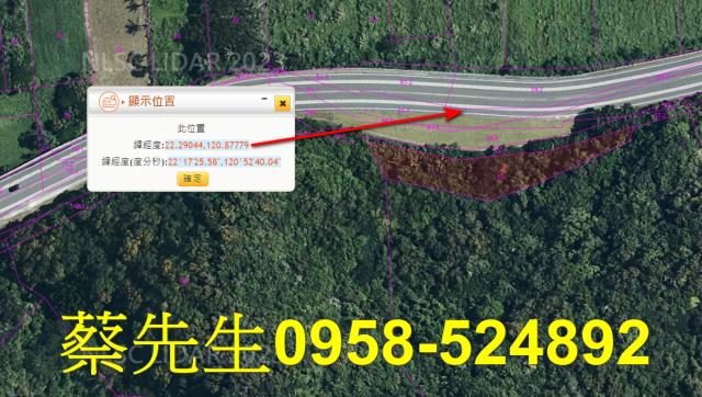 台東達仁農地法拍-7