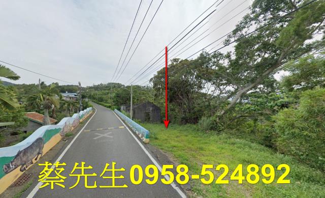 台東達仁農地法拍-8
