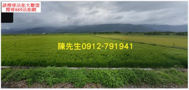 玉里農地法拍-0