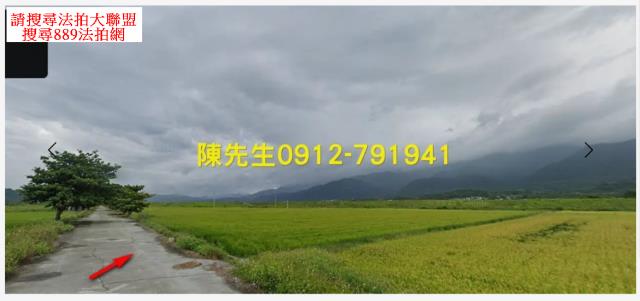 玉里農地法拍-1
