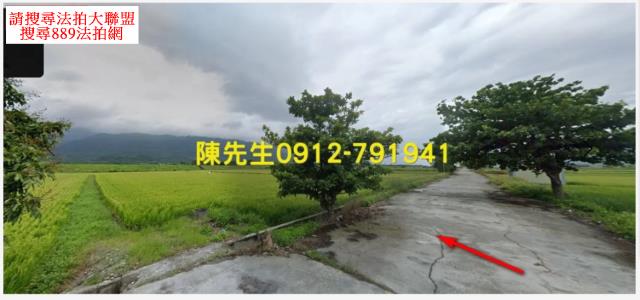玉里農地法拍-2