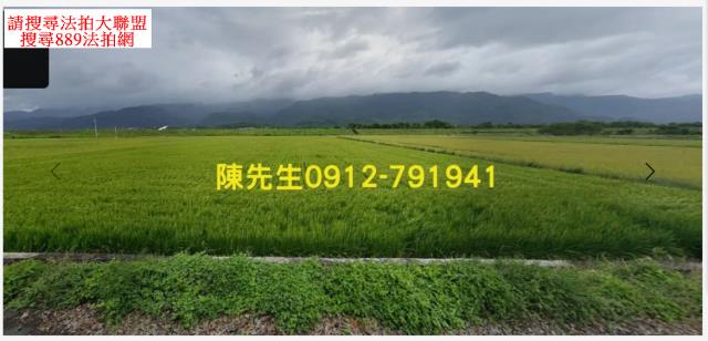 玉里農地法拍-7