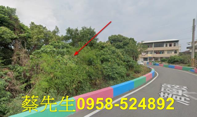 彰化社頭建地法拍-0