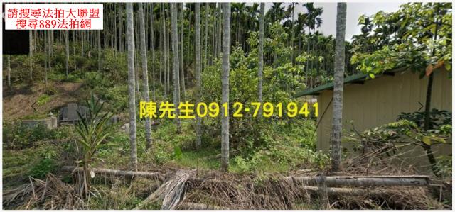 國姓農地法拍-2