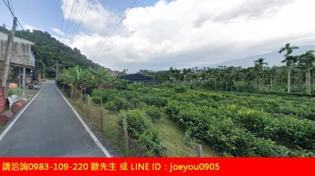 南投魚池農地法拍-11