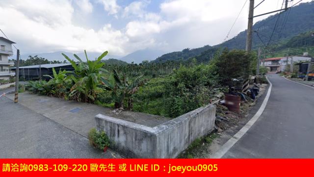南投魚池農地法拍-0