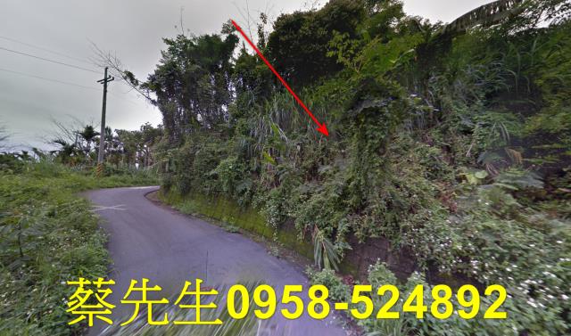 苗栗卓蘭農地拍賣-13