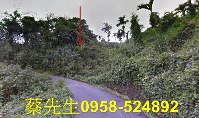 苗栗卓蘭農地拍賣-14