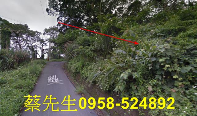苗栗卓蘭農地拍賣-3