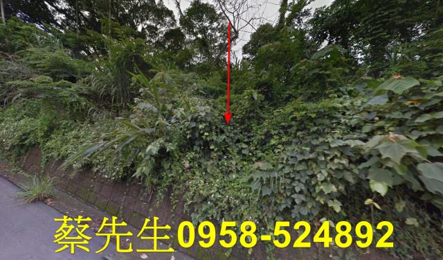 苗栗卓蘭農地拍賣-4