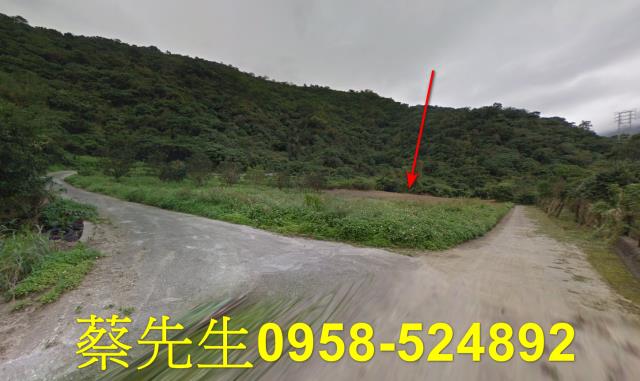 花蓮秀林農地法拍-13