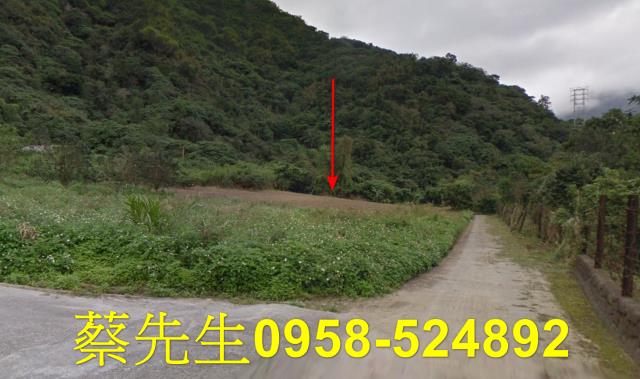 花蓮秀林農地法拍-0