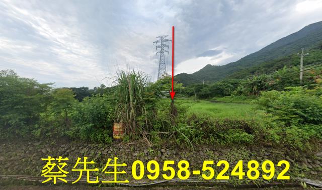 吉安法拍農地-3