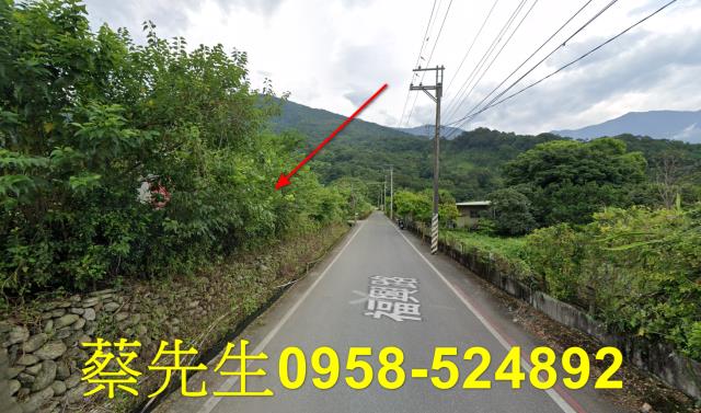 吉安法拍農地-4