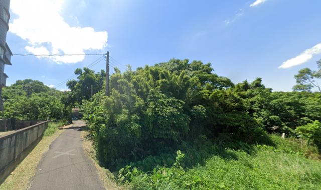 蘆竹法拍建地-12