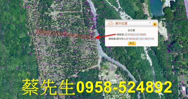 壽豐拍賣農地-2