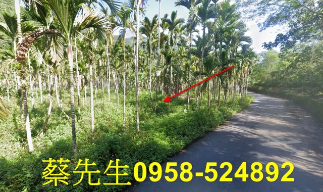 壽豐拍賣農地-3