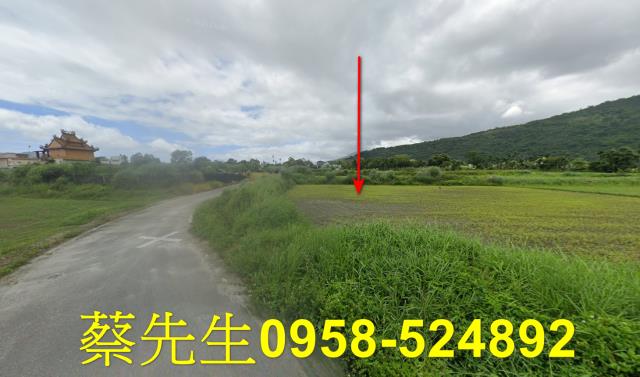 花蓮農地法拍-12