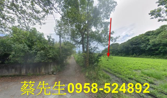花蓮農地法拍-0