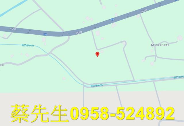 花蓮農地法拍-3