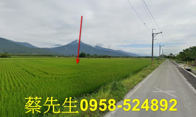 花蓮農地法拍-12
