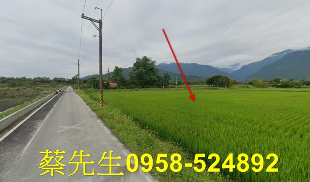 花蓮農地法拍-13