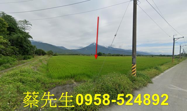 花蓮農地法拍-3