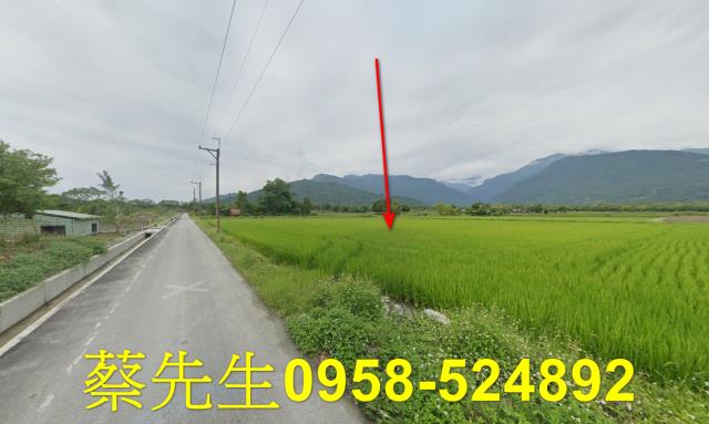 花蓮農地法拍-6