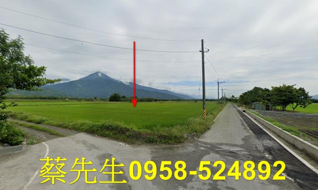 花蓮農地法拍-8