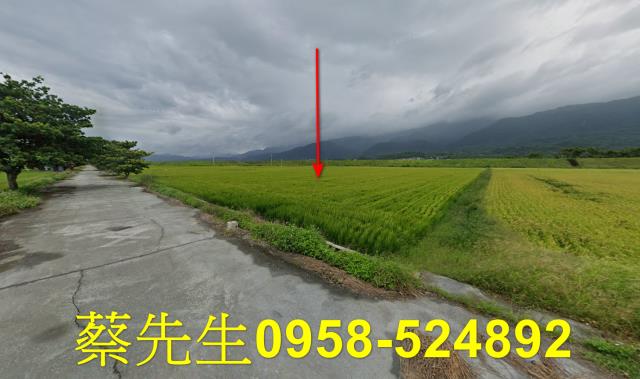 花蓮農地法拍-11