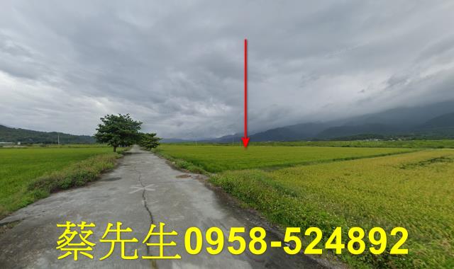 花蓮農地法拍-12