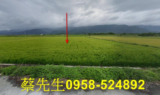 花蓮農地法拍-0