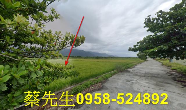 花蓮農地法拍-5