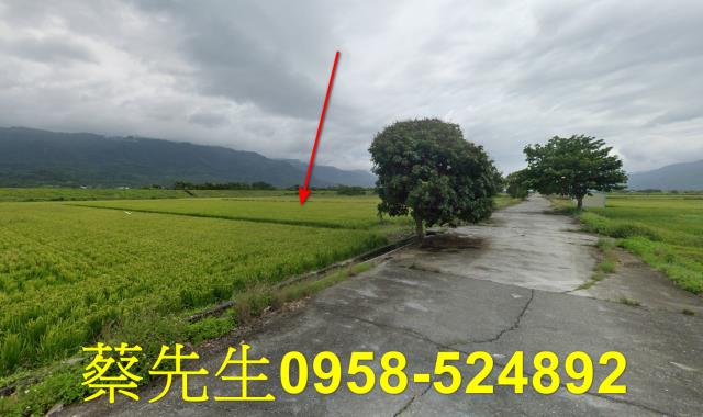 花蓮農地法拍-6