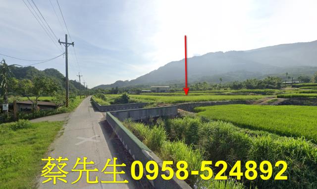 花蓮農地拍賣-12