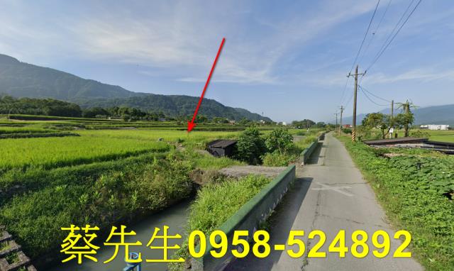 花蓮農地拍賣-14