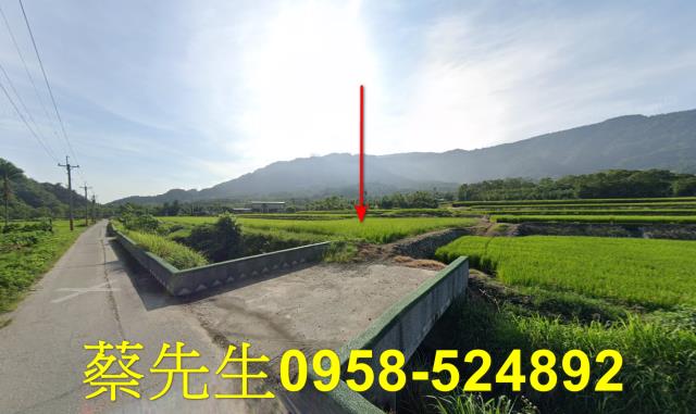 花蓮農地拍賣-0