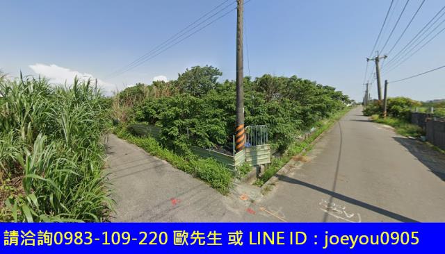 麻豆農地法拍-9