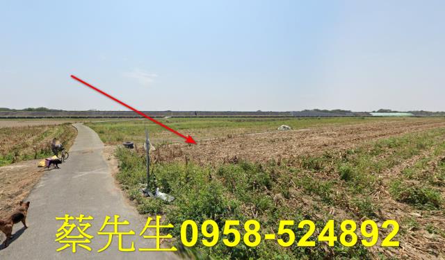 鹿草法拍農地-6