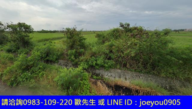 將軍法拍農地-10