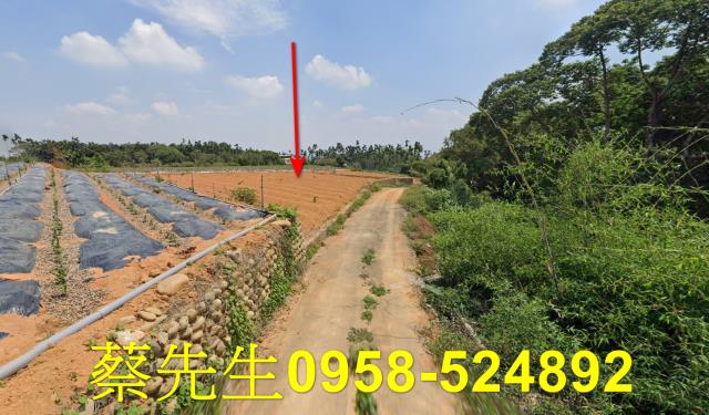 南投名間農地拍賣-4