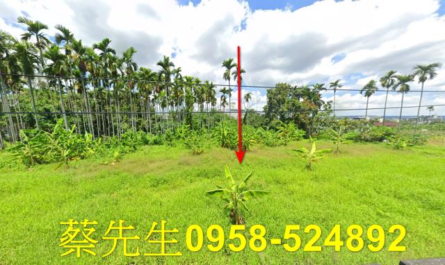 南投名間法拍農地-0