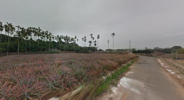 彰化芬園法拍農地-9