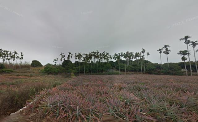 彰化芬園法拍農地-12