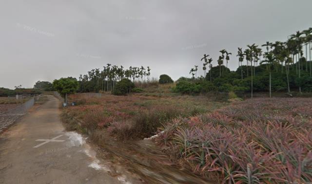 彰化芬園法拍農地-4