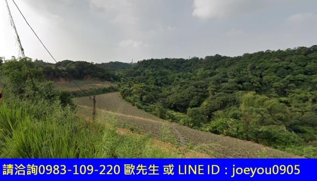 高雄大樹法拍農地-11