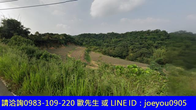 高雄大樹法拍農地-2