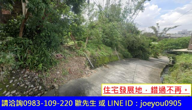 高雄大樹農地法拍-1