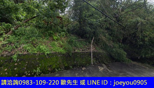 高雄大樹農地法拍-2