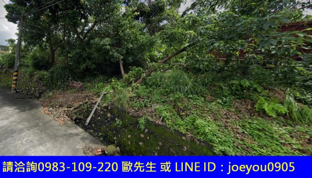 高雄大樹農地法拍-4